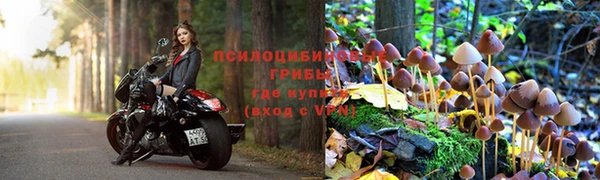 соль ск Зеленокумск