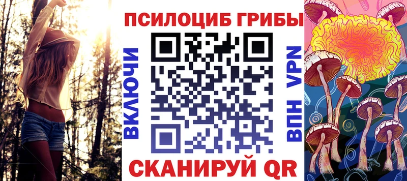 Купить закладки  Ленинск  Псилоцибиновые грибы ЛСД 